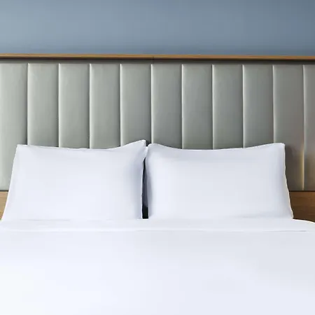 Radisson 4*