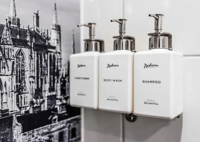 Hotel Radisson